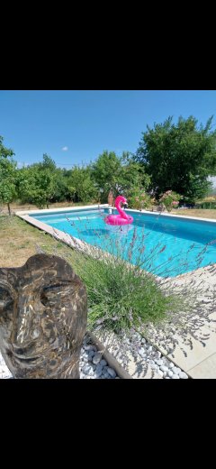 Location : piscine
