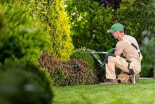 Service : entretien jardin
