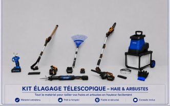 Location : taille haie Location : taille haie