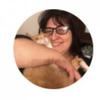 Service : aide aux courses Service : aide aux courses