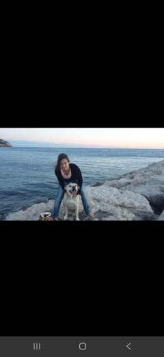 Service : garde animaux