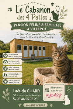 Service : chat