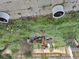 Service : entretien jardin Service : entretien jardin