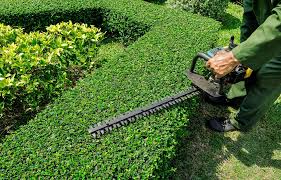 Service entretien jardin 67 entre particuliers