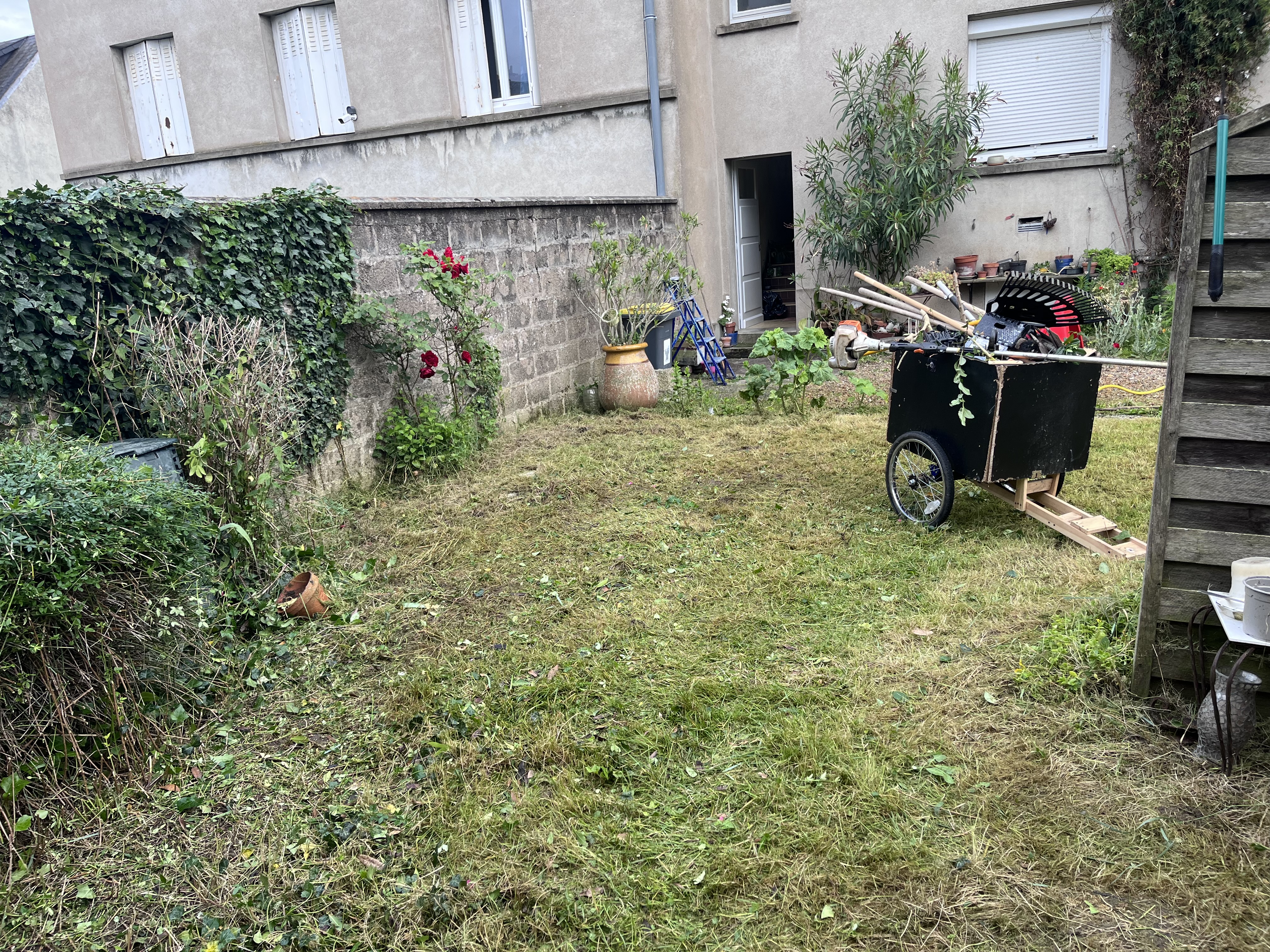Service tonte de pelouse 37 entre particuliers
