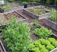 Location : jardin potager