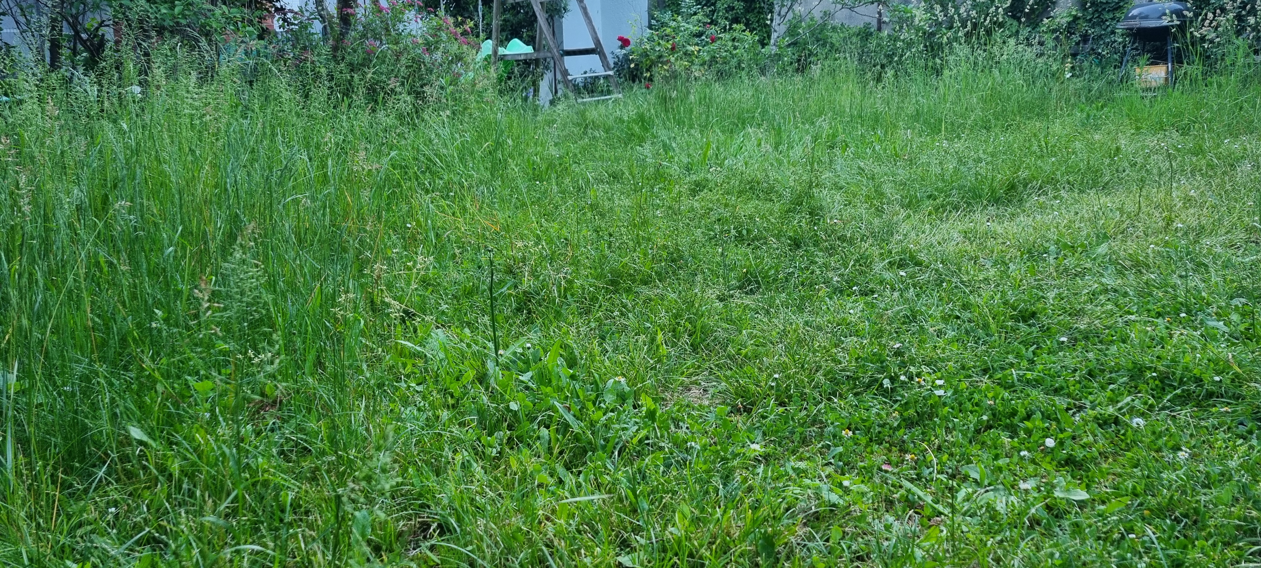 Location jardin 77 entre particuliers