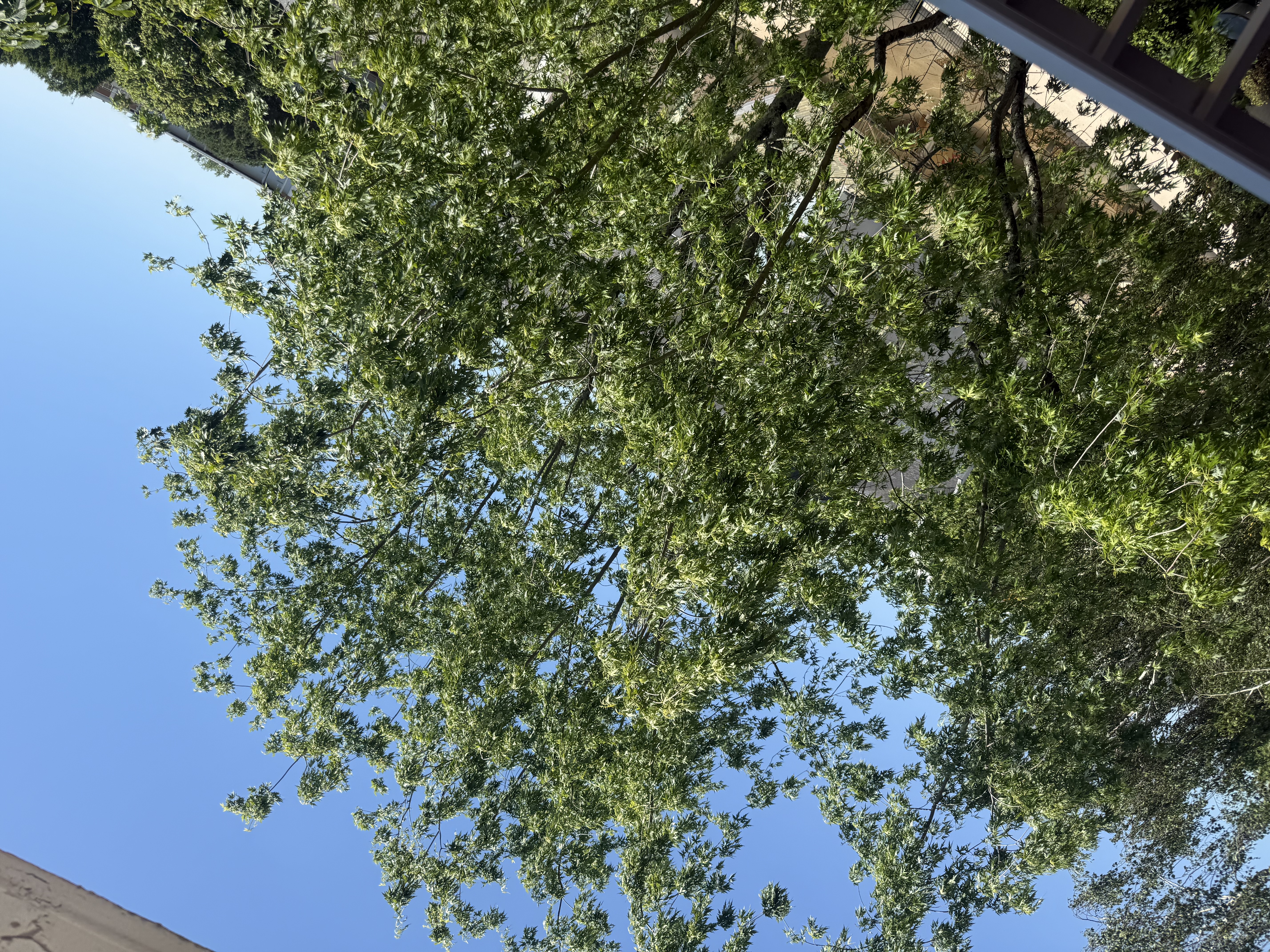 Location jardin 44 entre particuliers