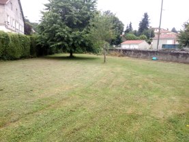Service : tonte de pelouse