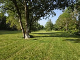 Location : jardin