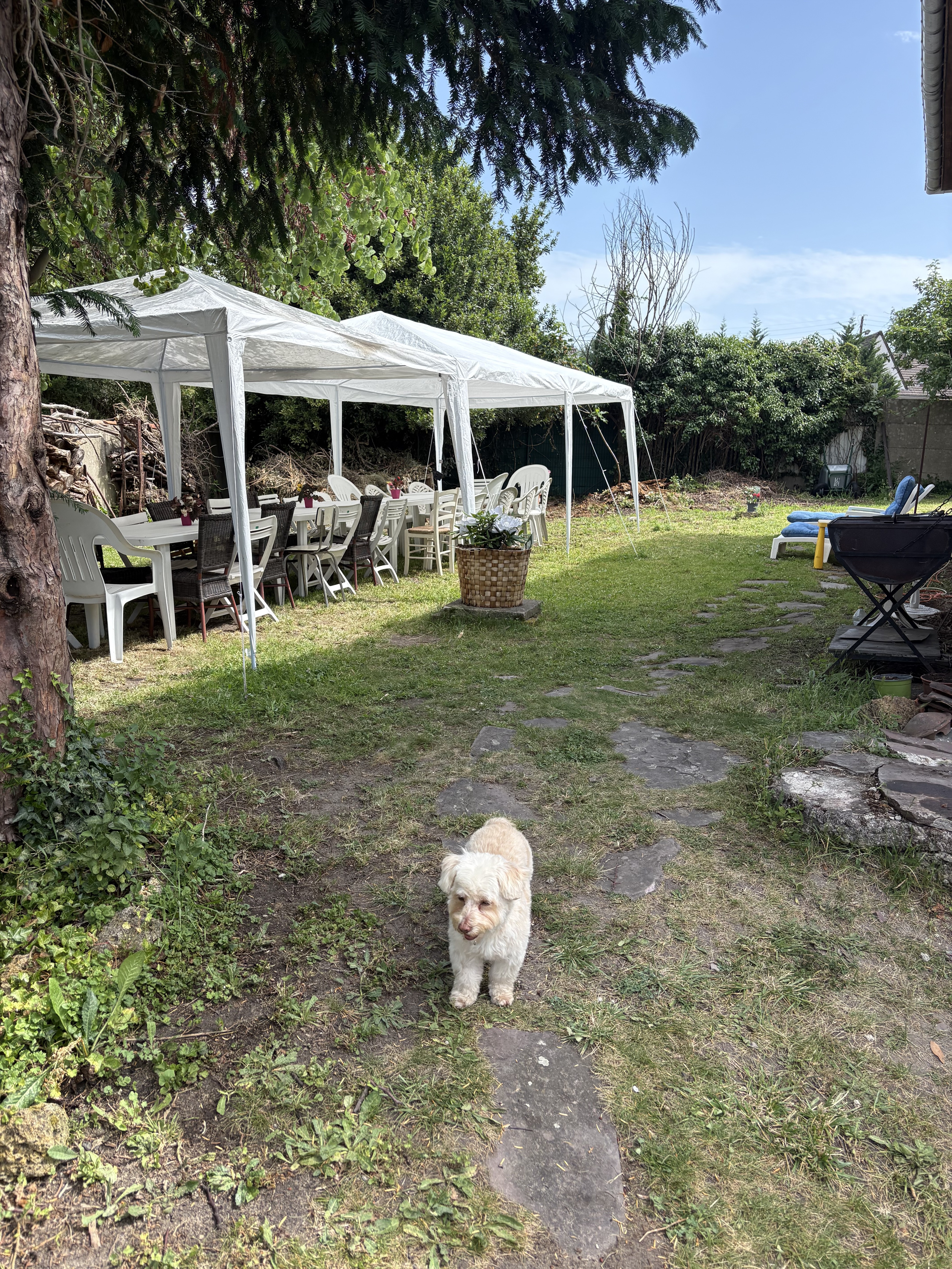 Location jardin 93 entre particuliers