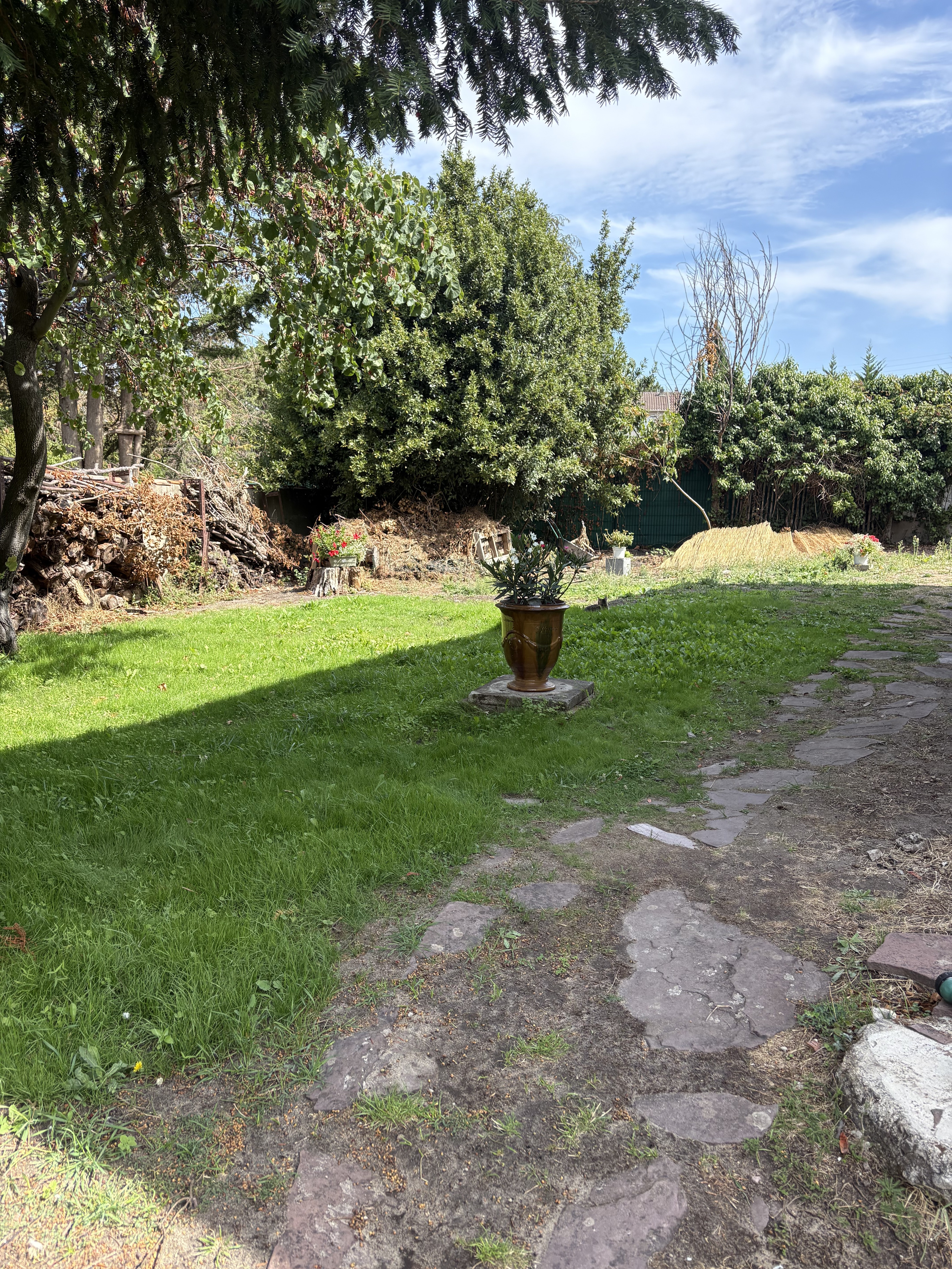 Rental Jardin between individuals (93)