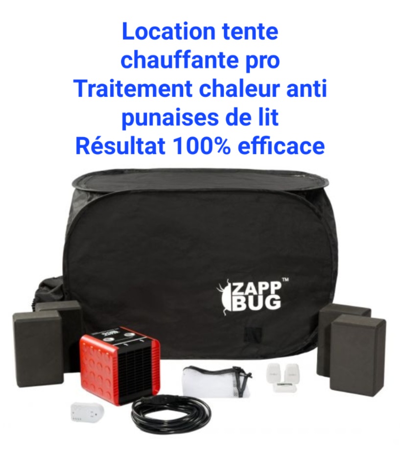 Rental Autre between individuals (69)