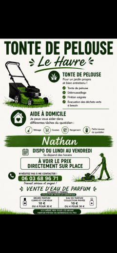Service : tonte de pelouse