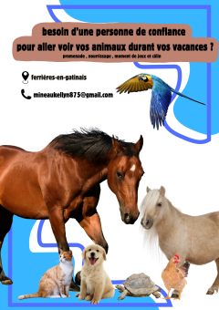 Service : garde animaux