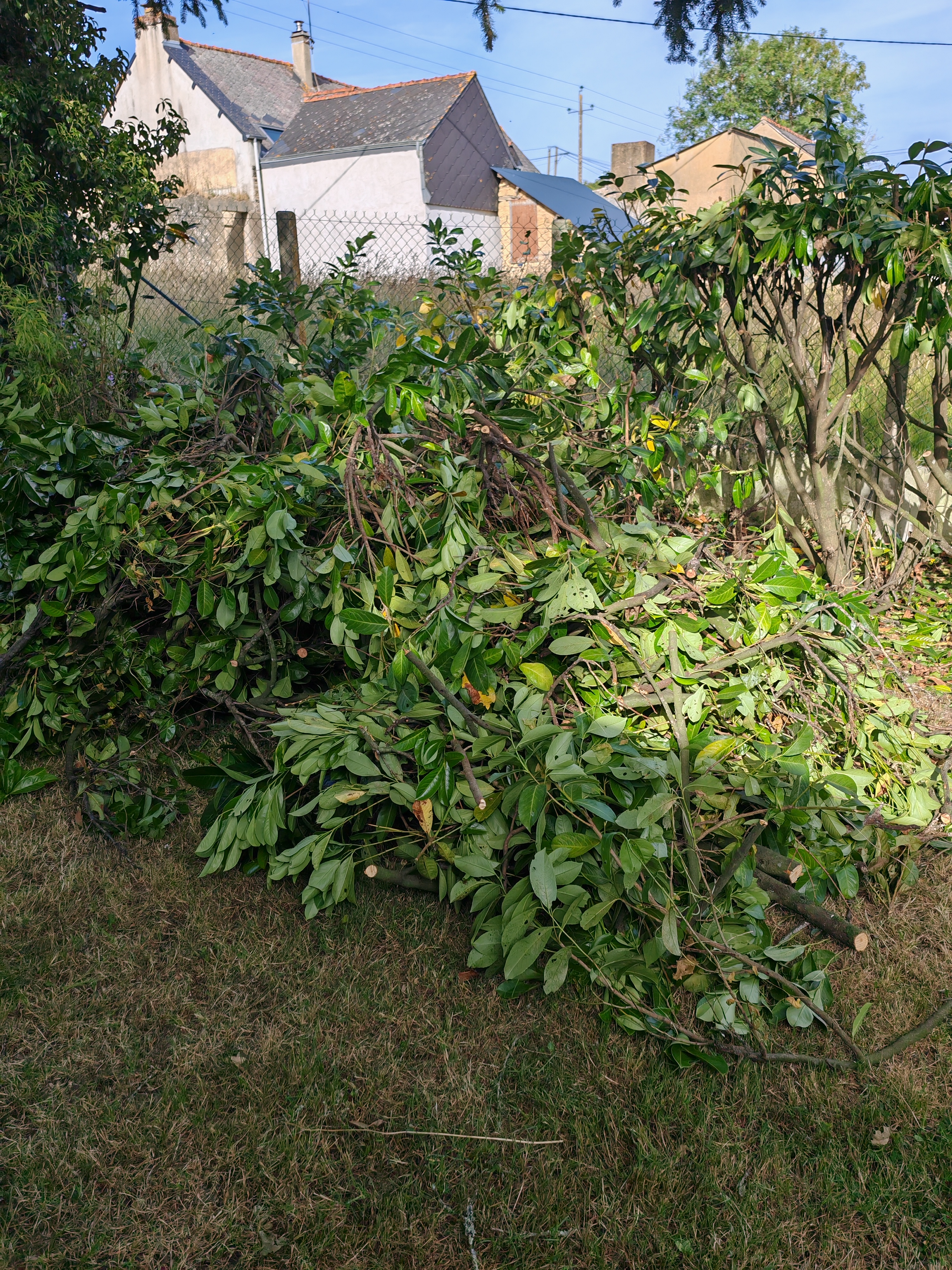 Location broyeur a vegetaux 35 entre particuliers