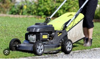 Service : tonte de pelouse