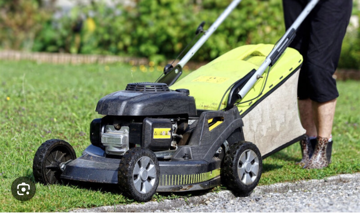 Service tonte de pelouse 28 entre particuliers
