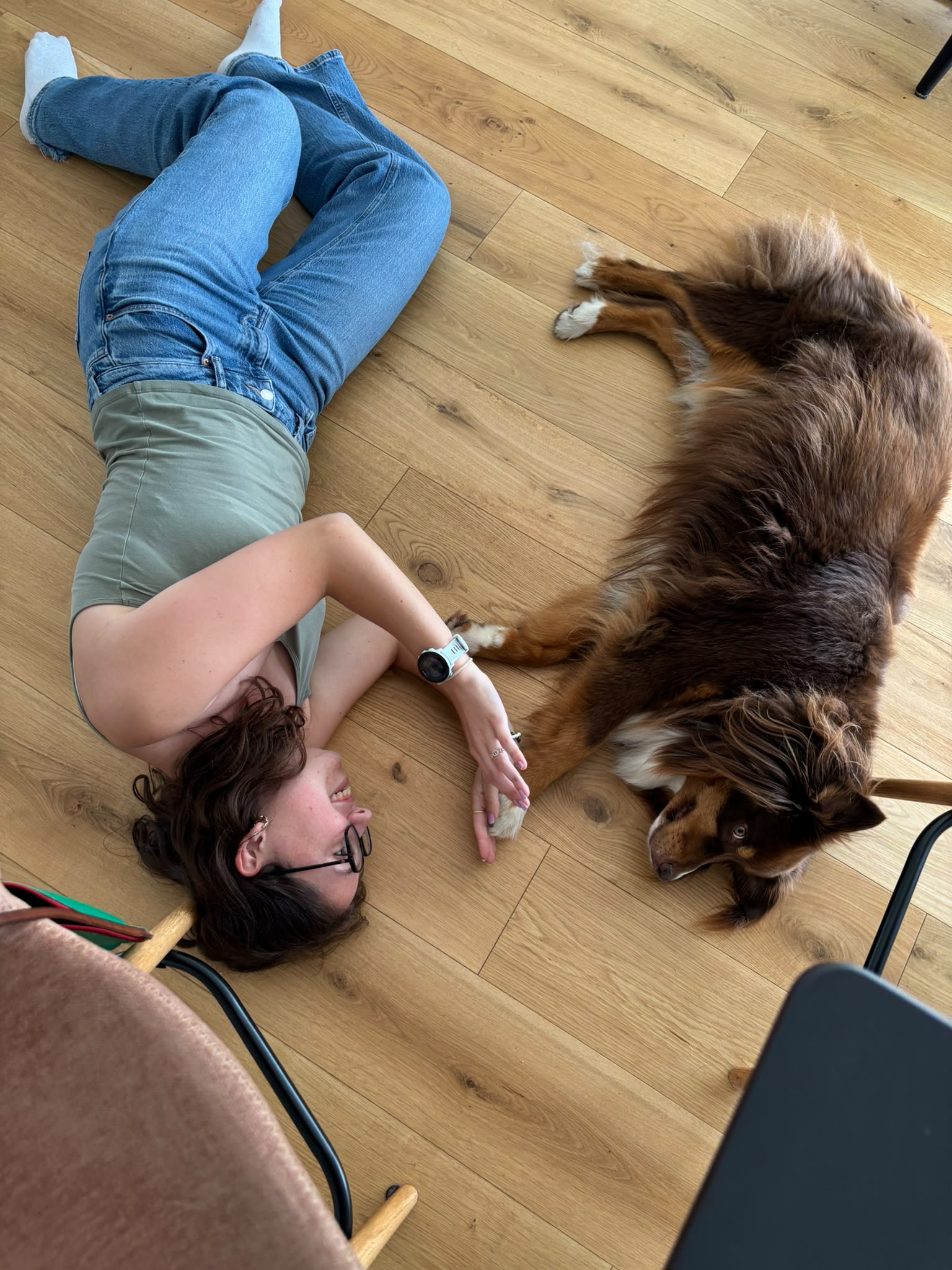 Service garde animaux 29 entre particuliers