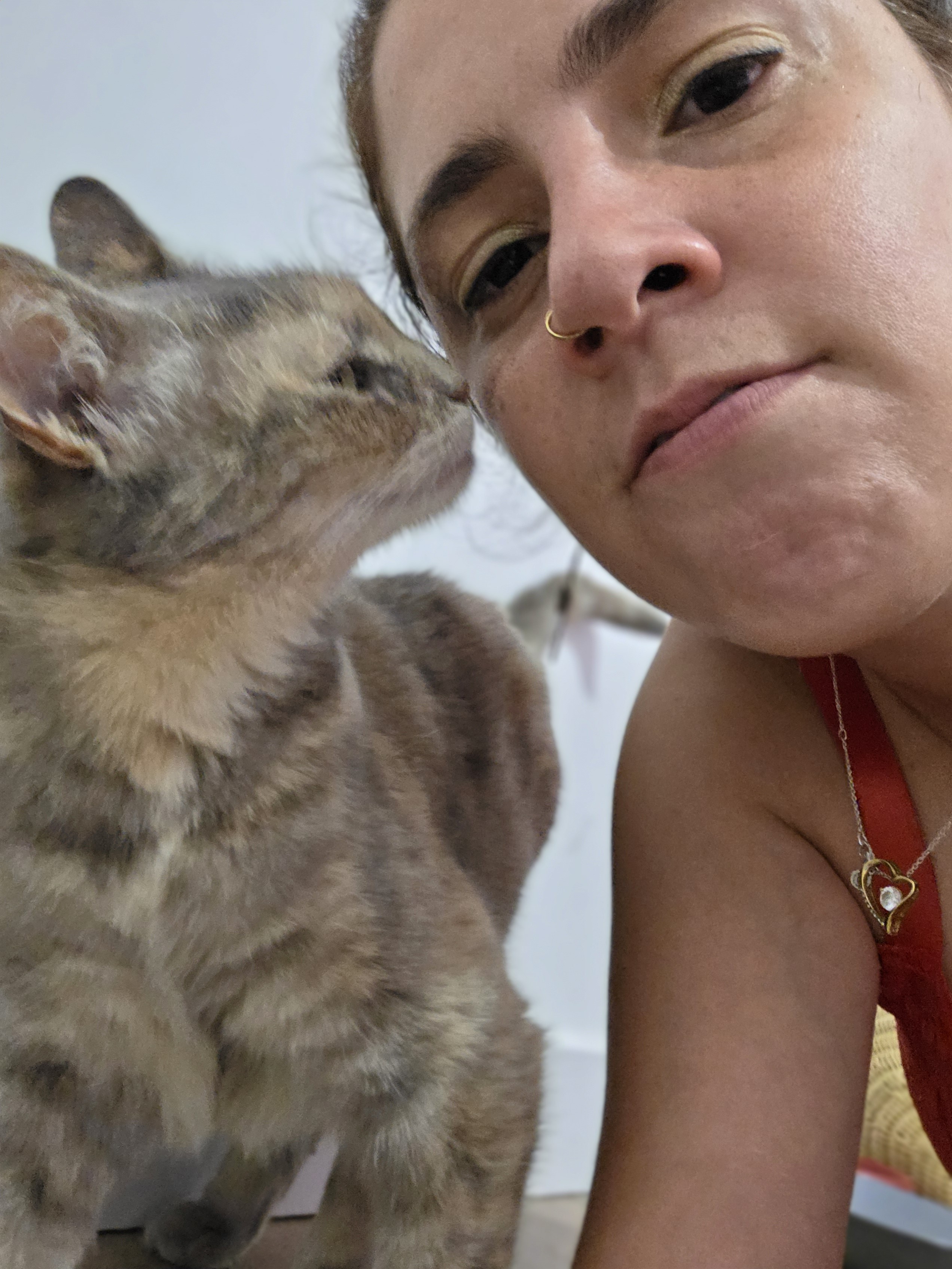 Service chat 42 entre particuliers