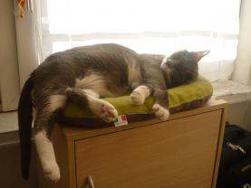 Demander une garde
