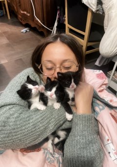 Service : garde animaux