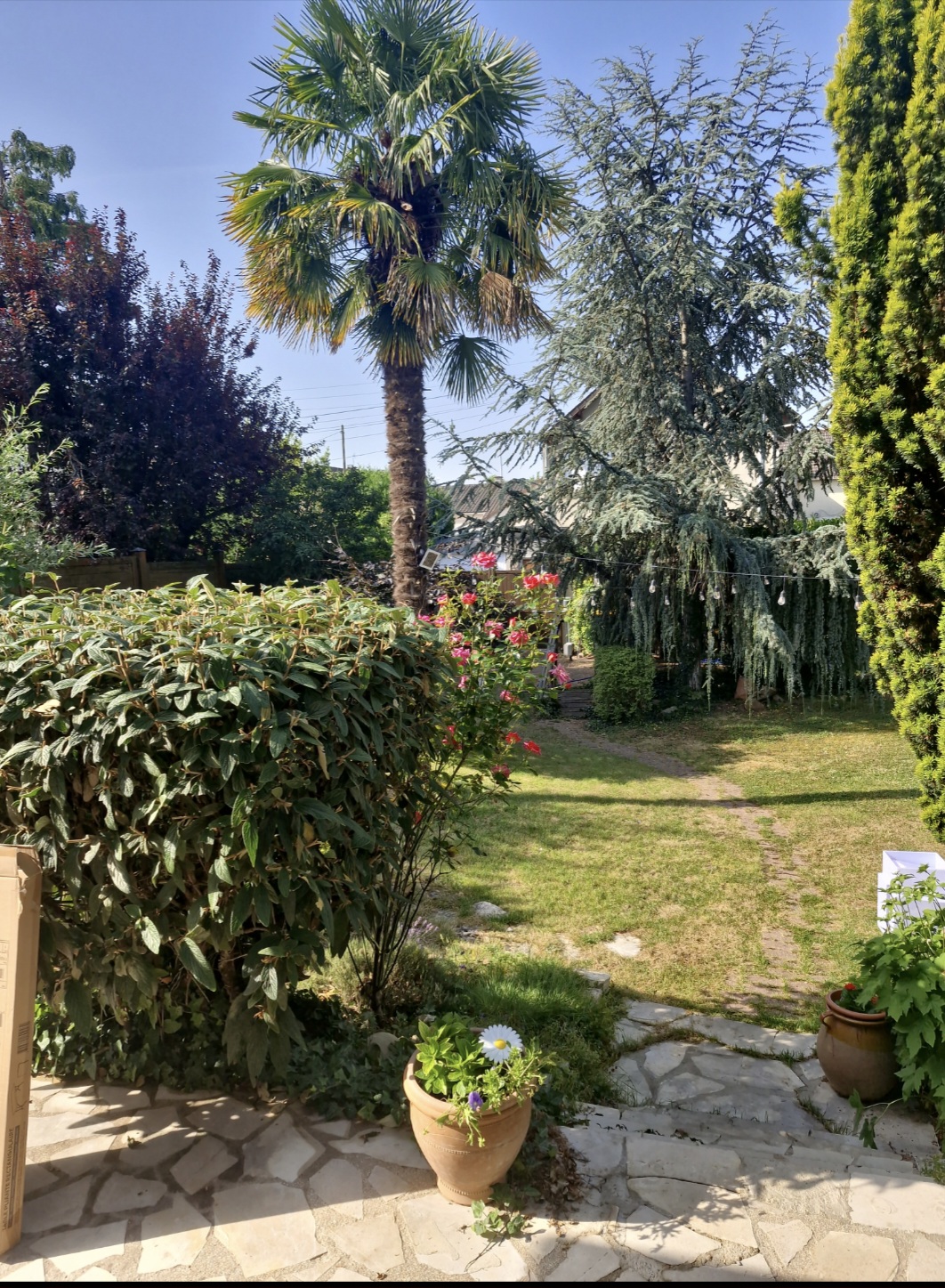 Location piscine 94 entre particuliers