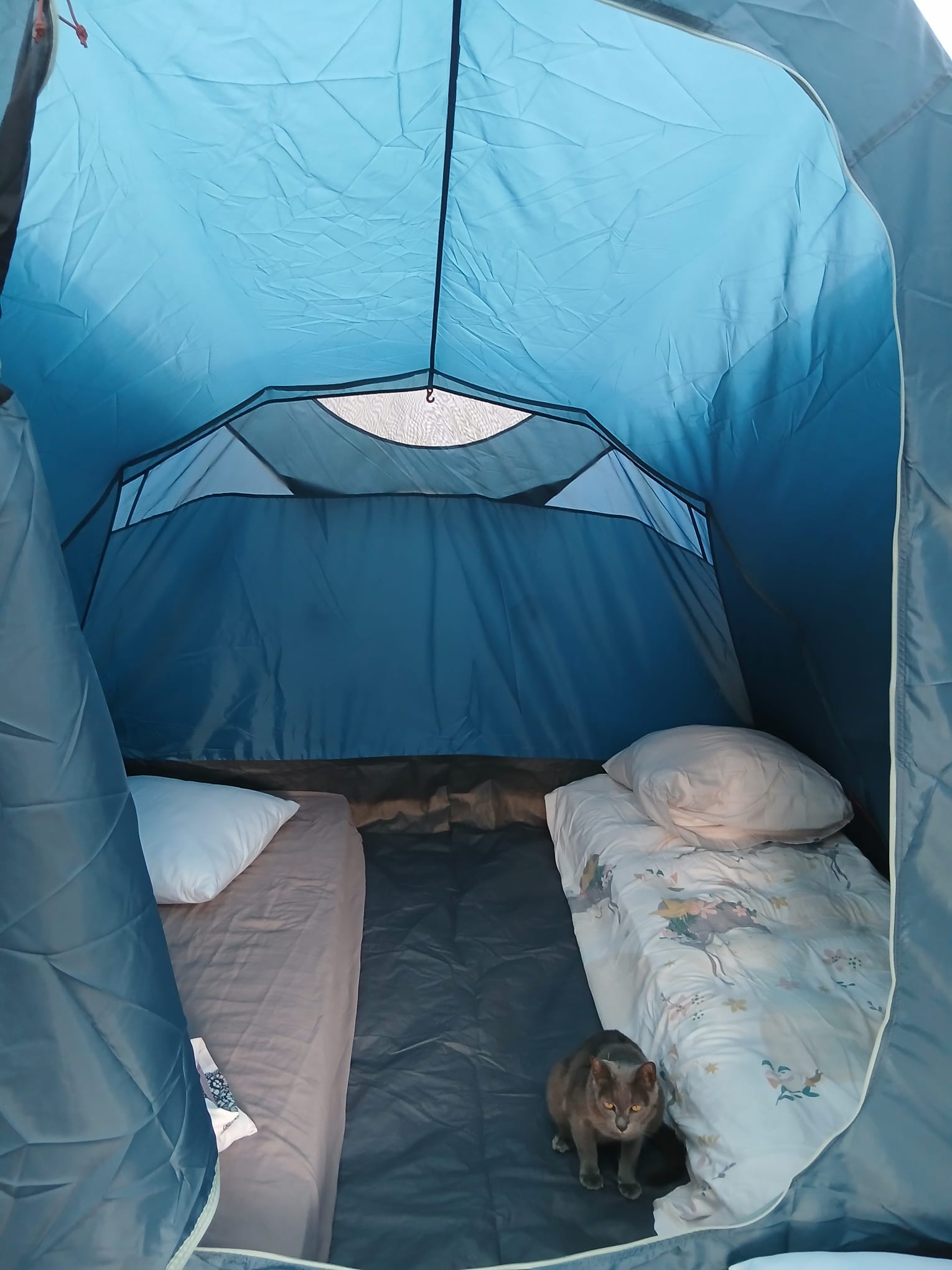Location tente 43 entre particuliers