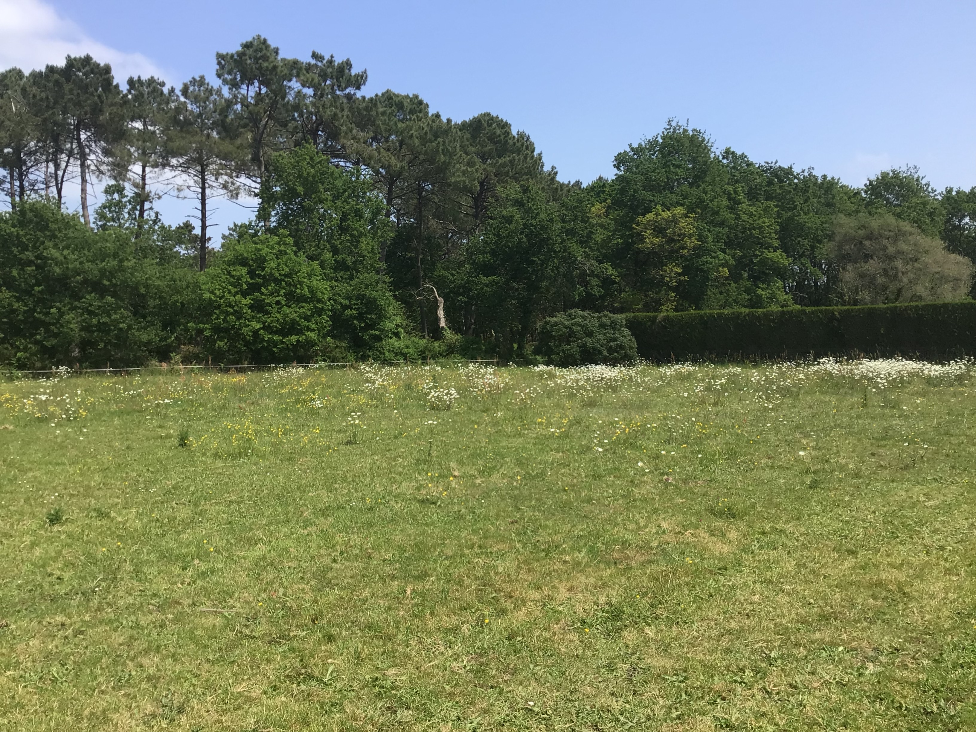 Location autre 56 entre particuliers