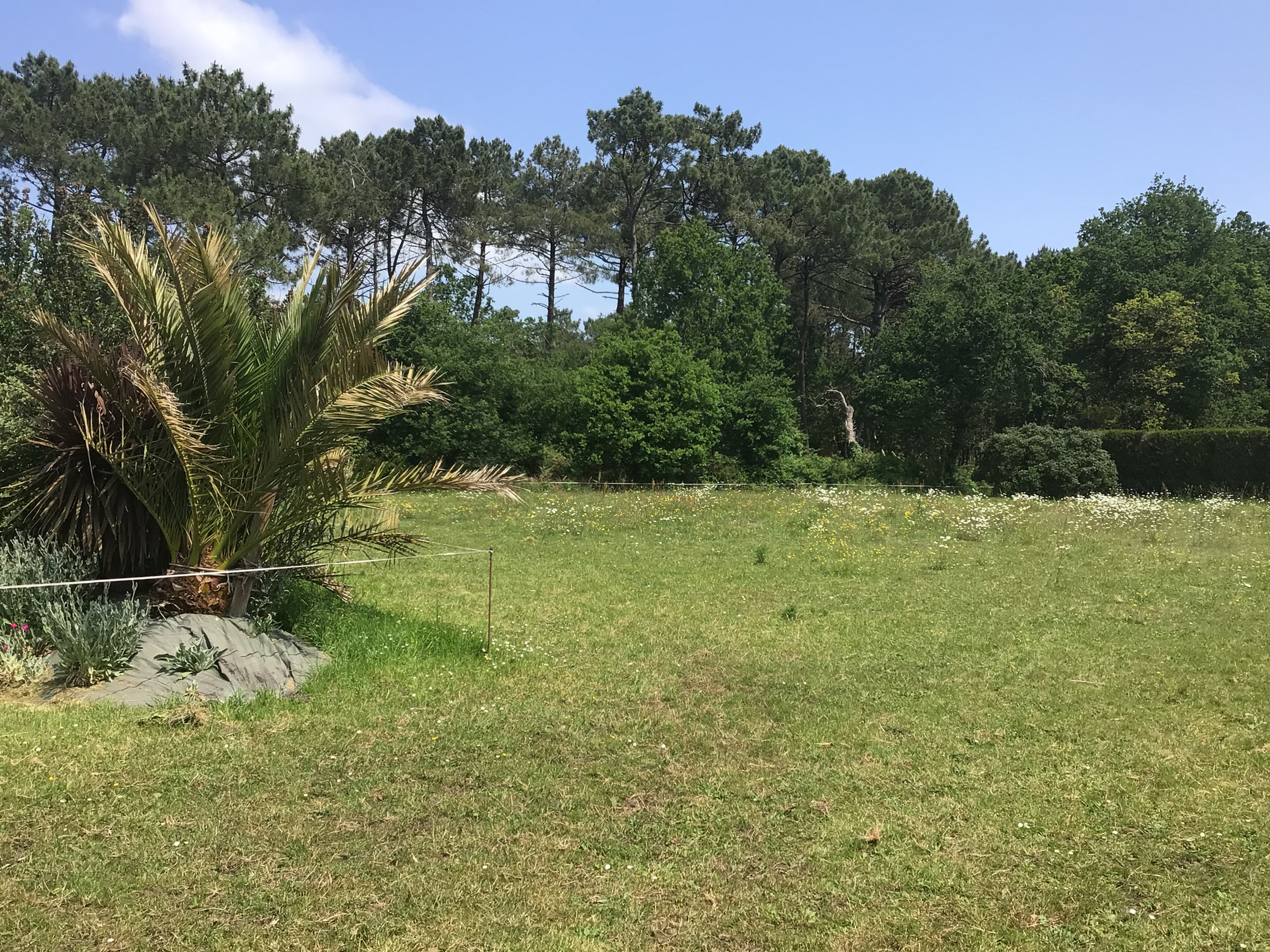Location autre 56 entre particuliers