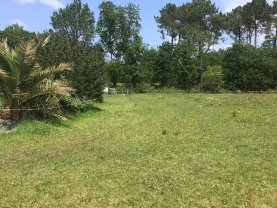 Location autre