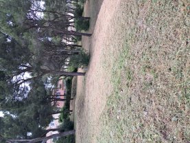 Service jardinage Service jardinage