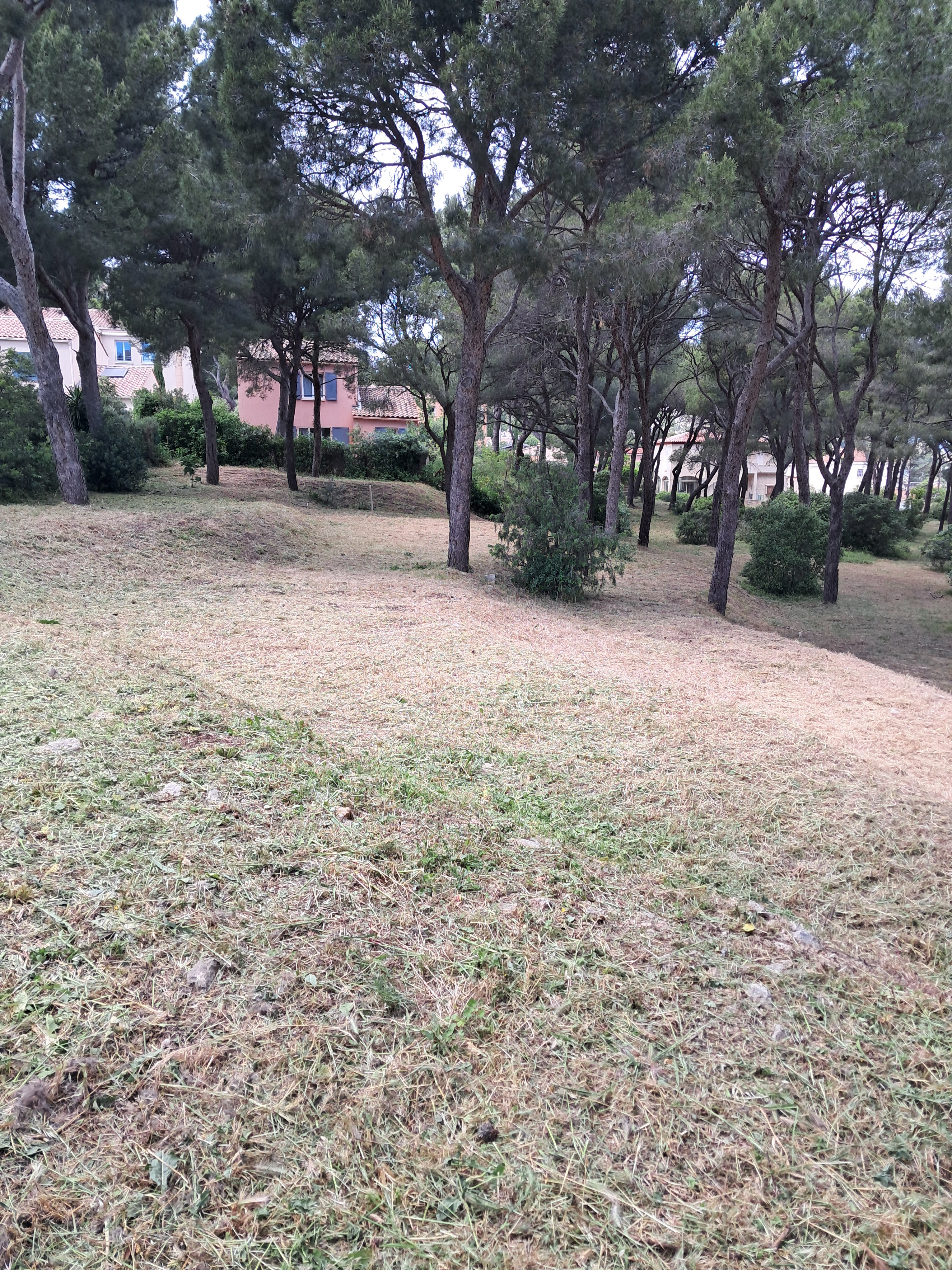 Service jardinage
