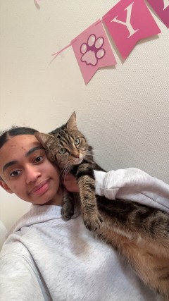 Service garde de chat