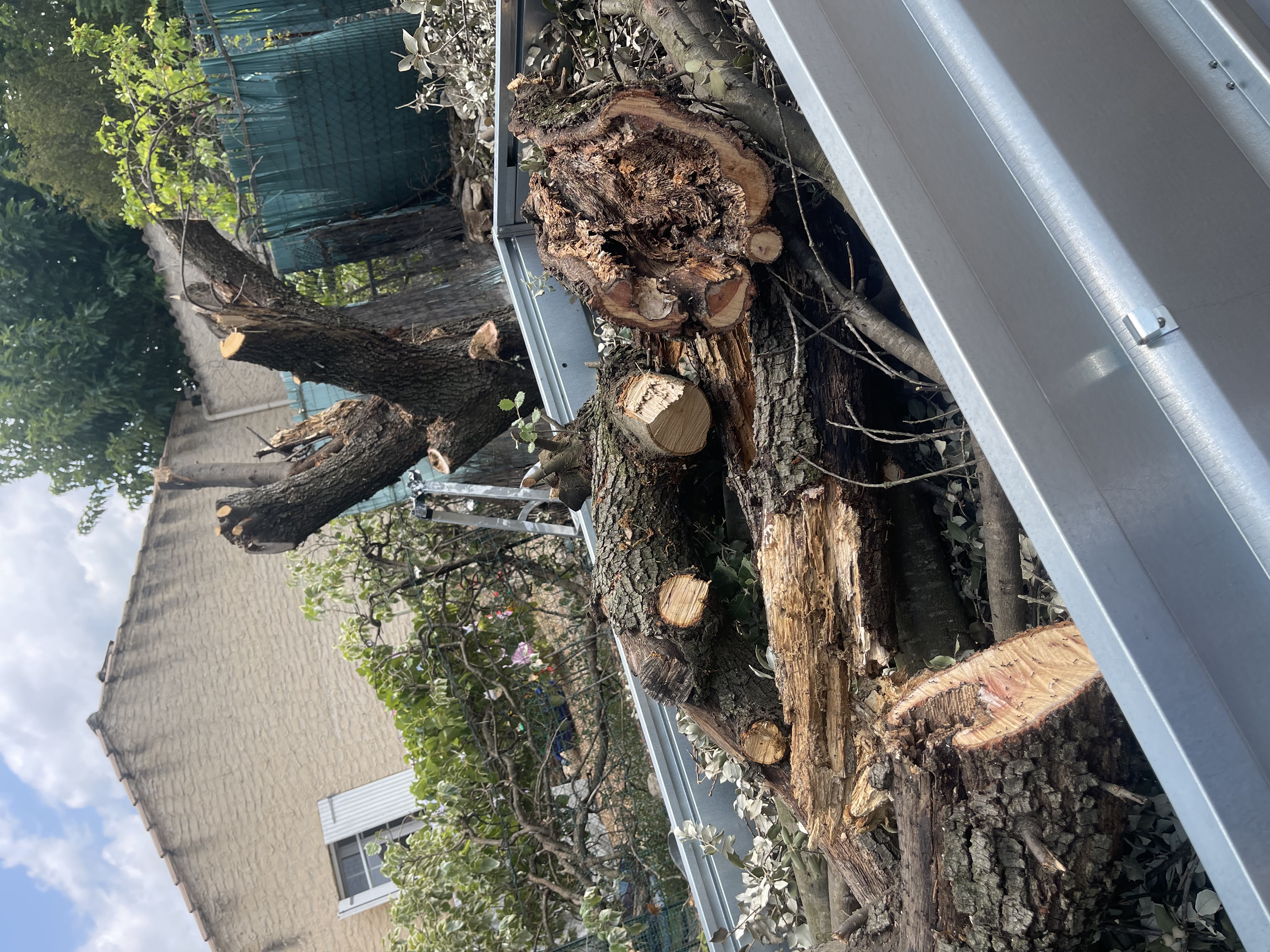 Location tronconneuse 84 entre particuliers