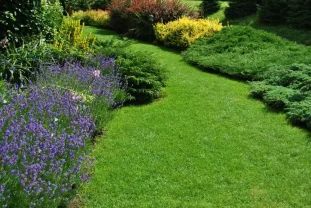 Location jardin
