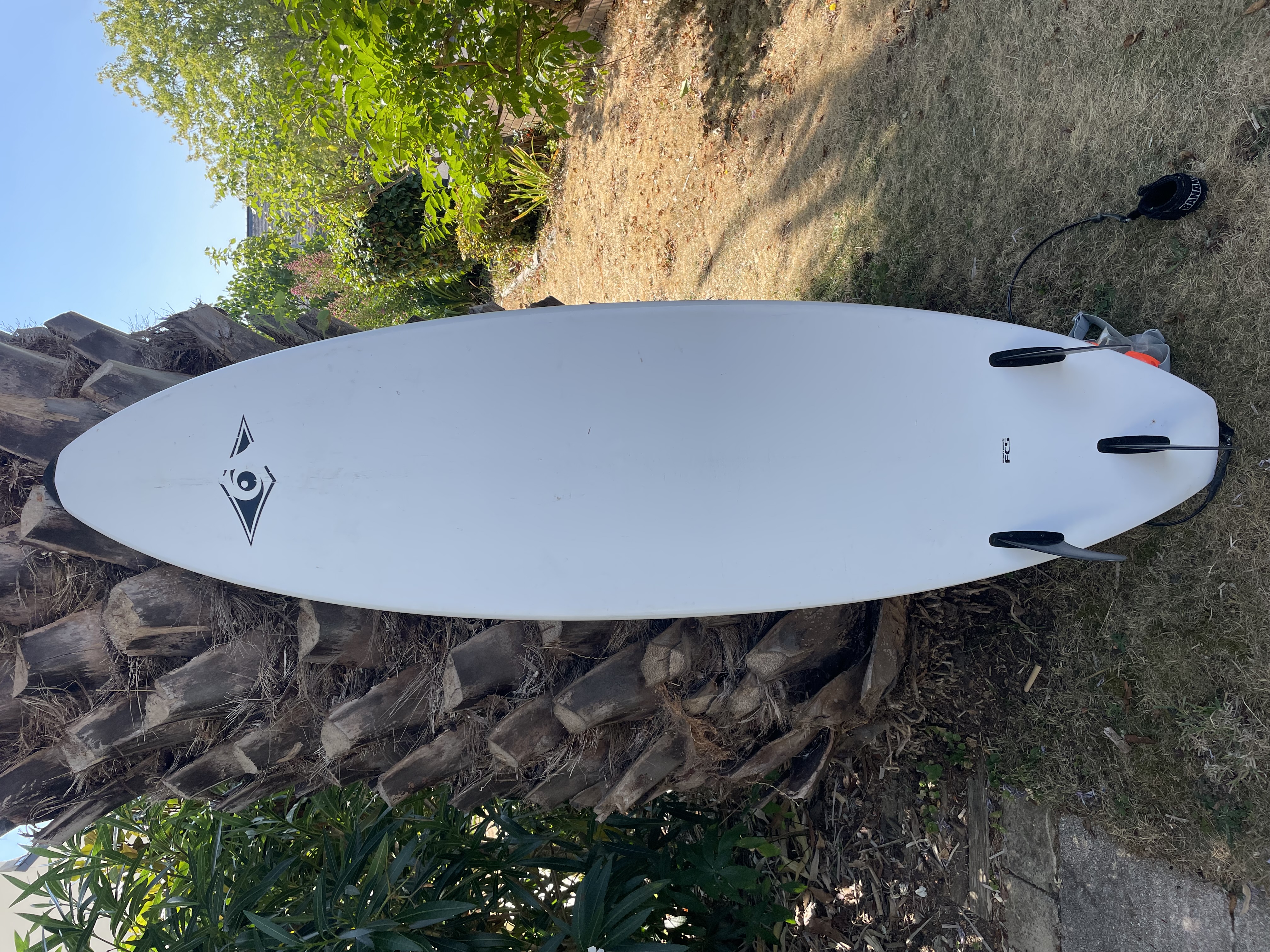 Location planche de surf entre particuliers (29)