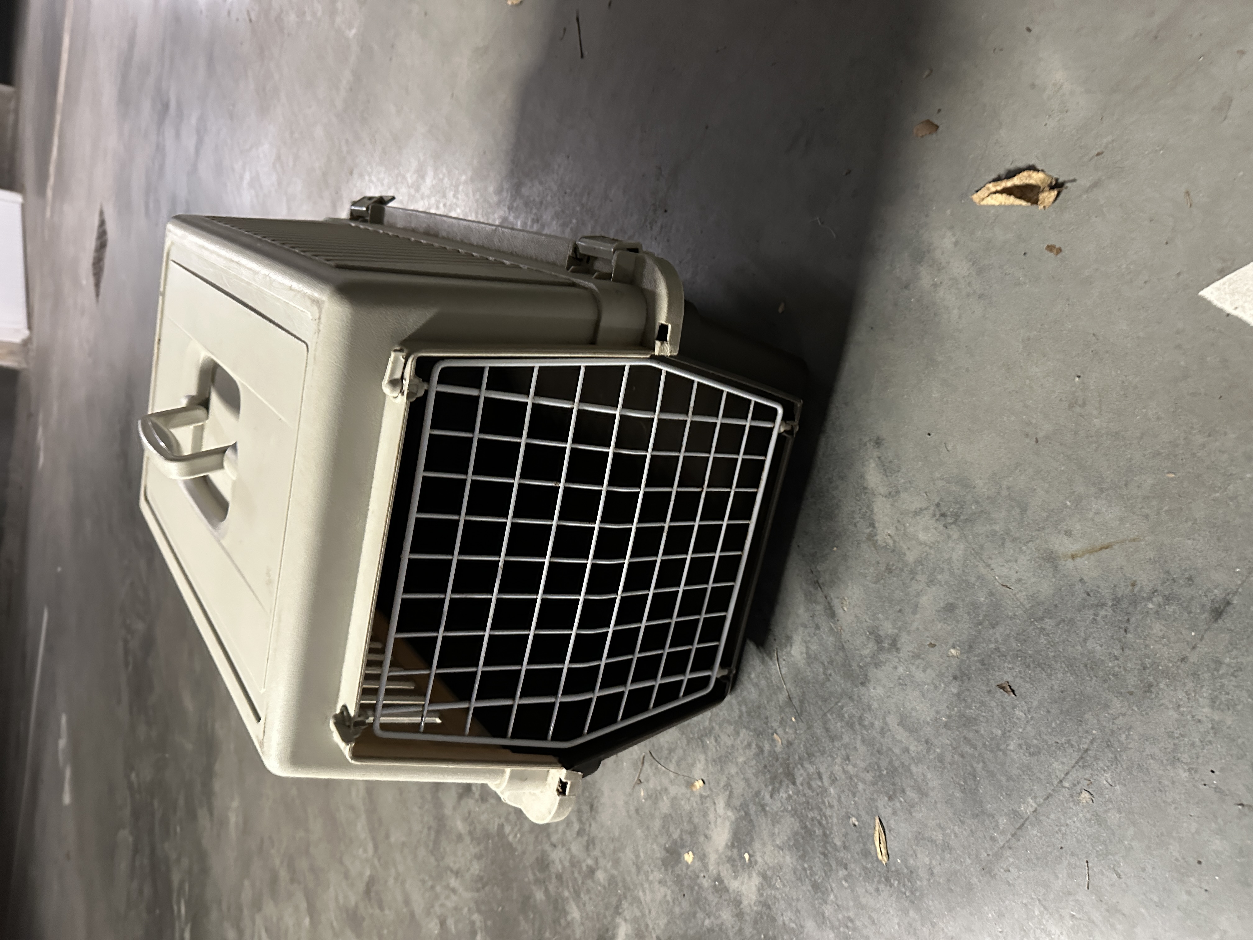 Service chien entre particuliers (59)