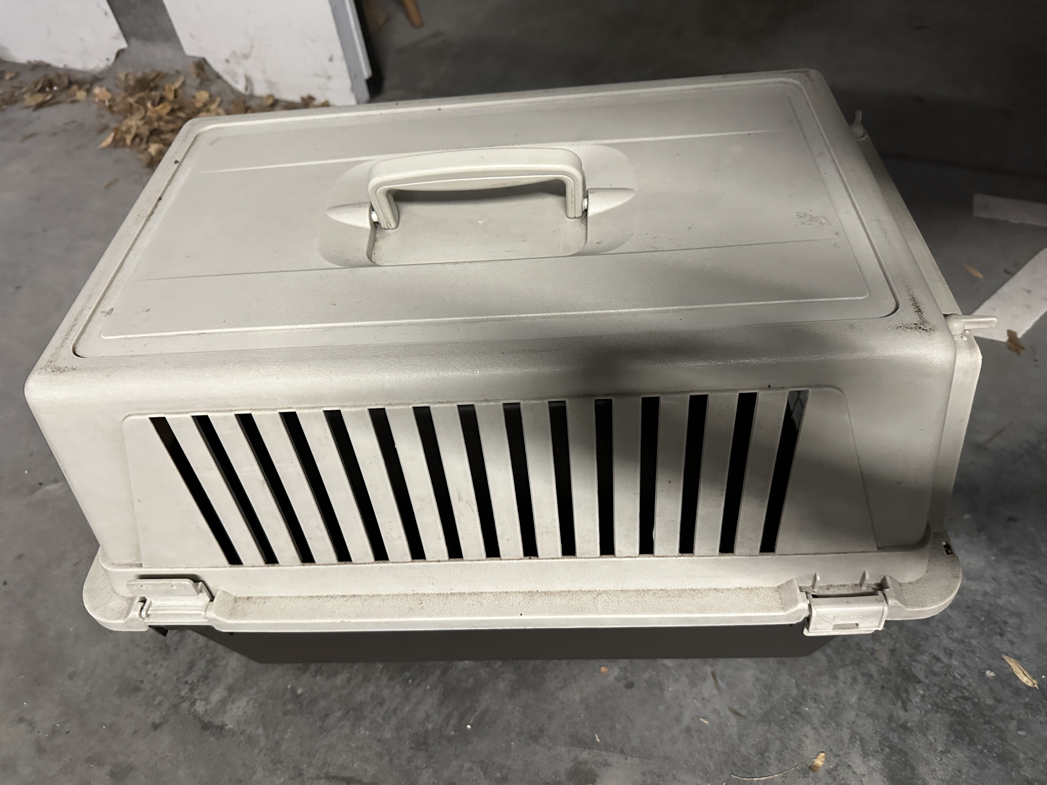 Service chien entre particuliers (59)