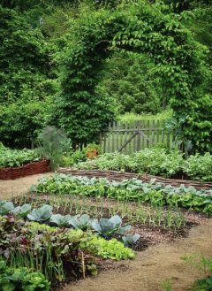Location jardin potager Location jardin potager