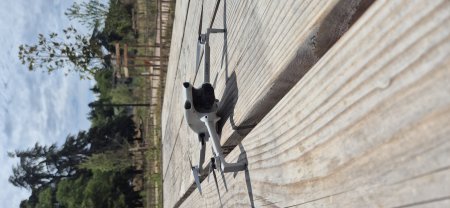 Location drone Location drone