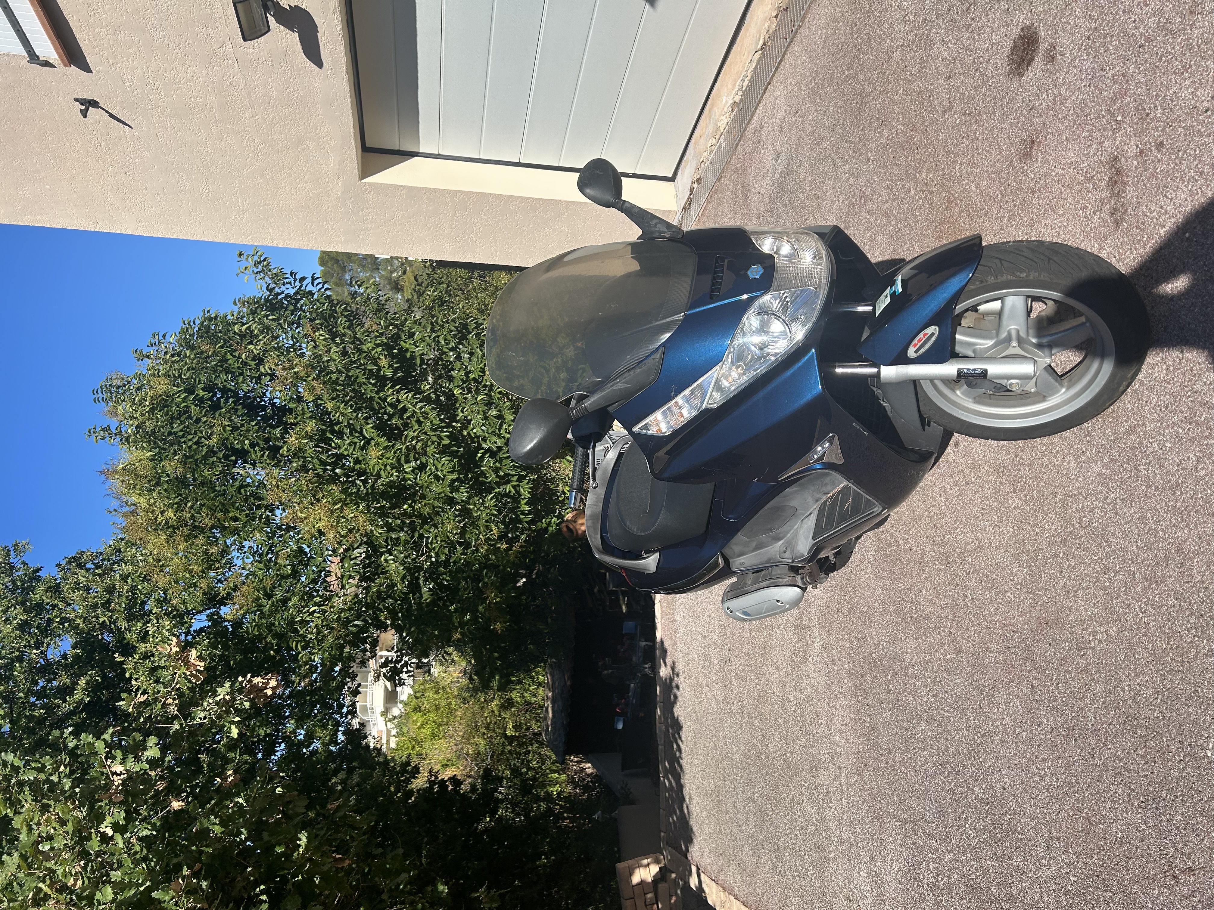Rental Scooter between individuals (83)