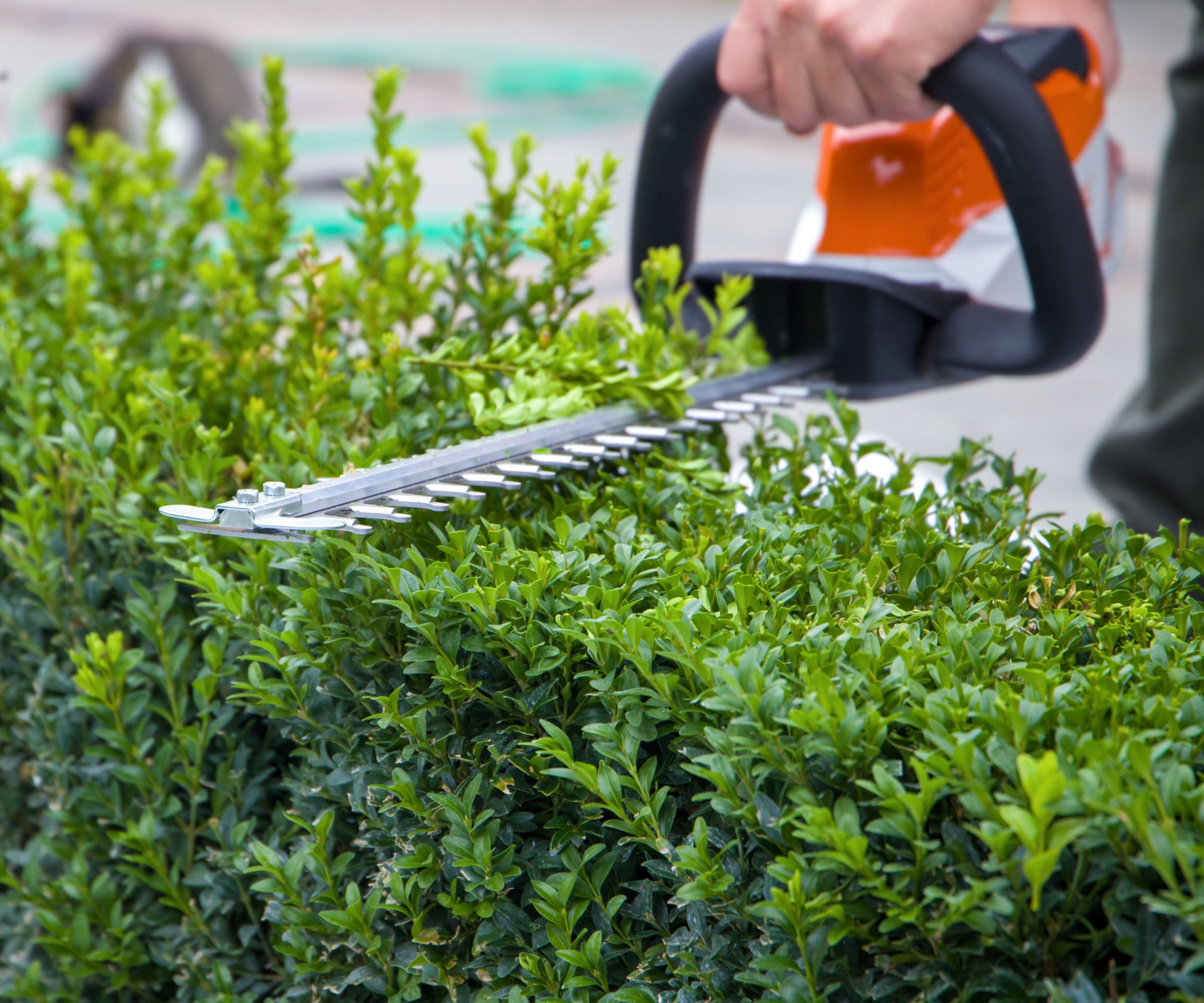 Location jardin entre particuliers (45)
