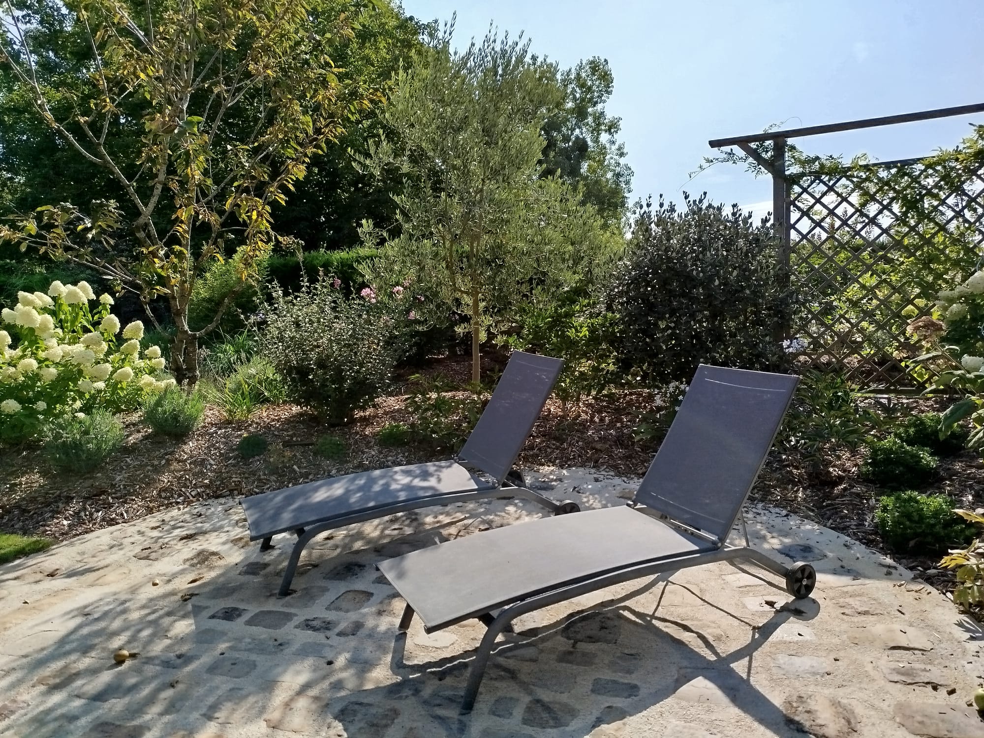 Rental Jardin between individuals (77)