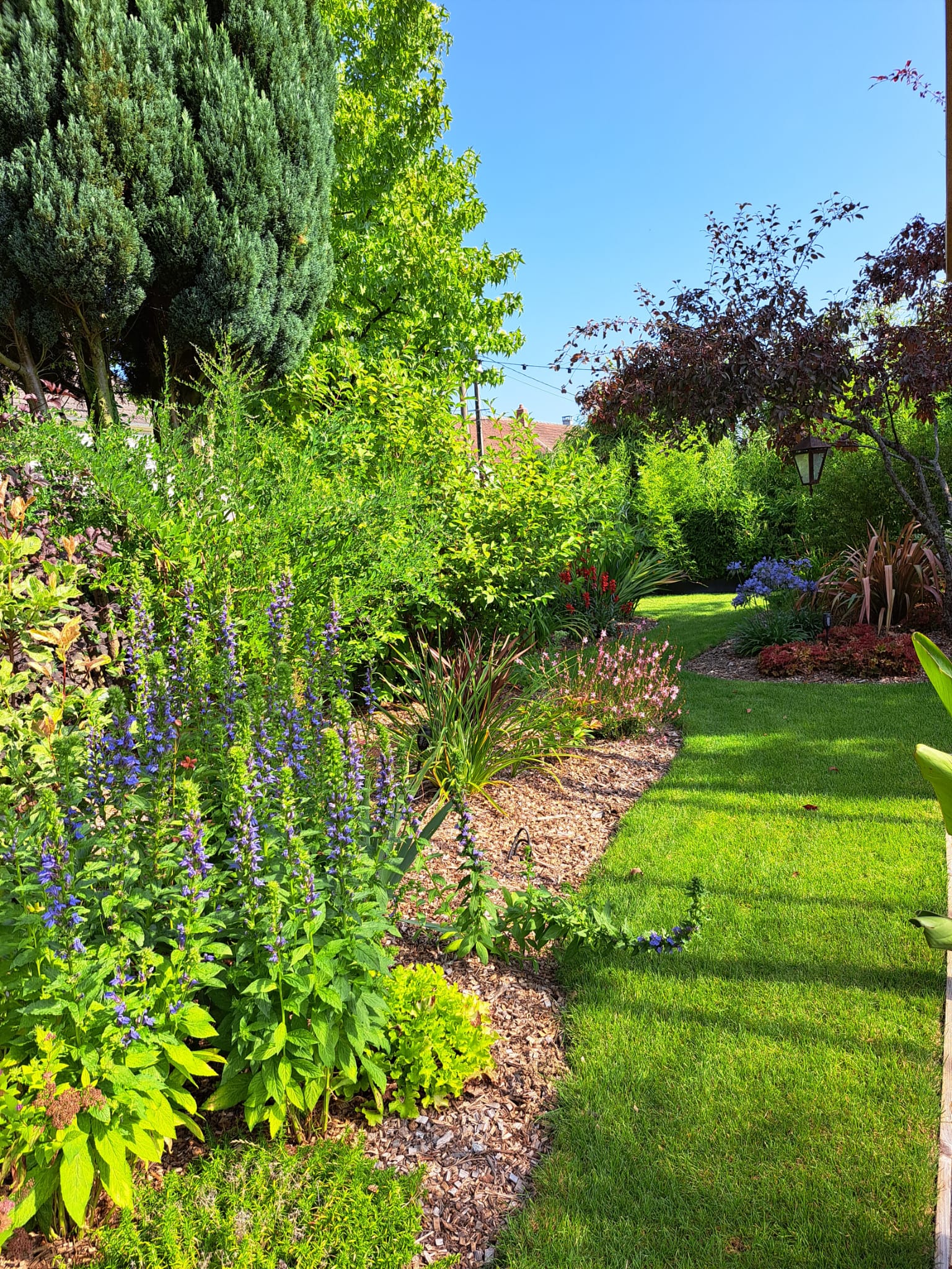 Rental Jardin between individuals (77)
