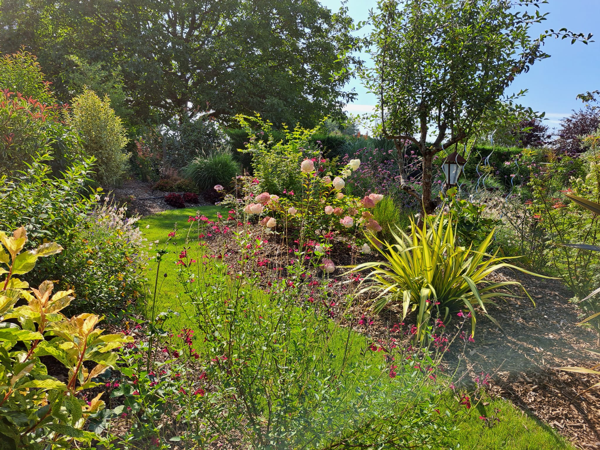 Rental Jardin between individuals (77)