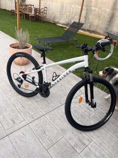 Location velos