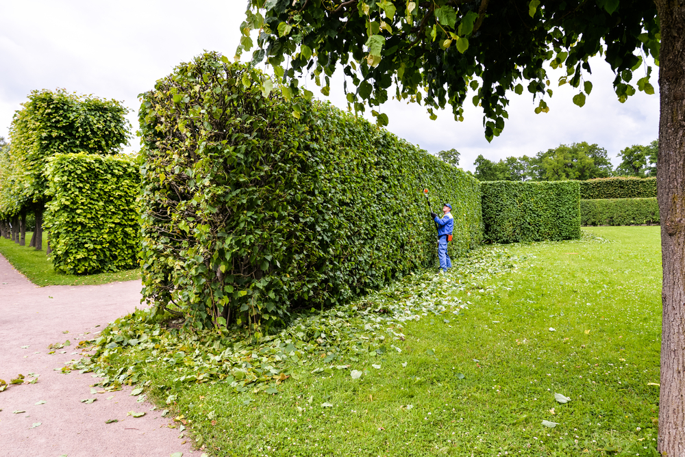 Service jardinage