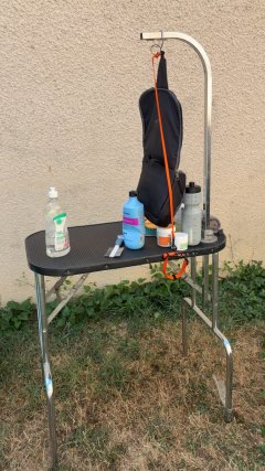 Service toilettage chien
