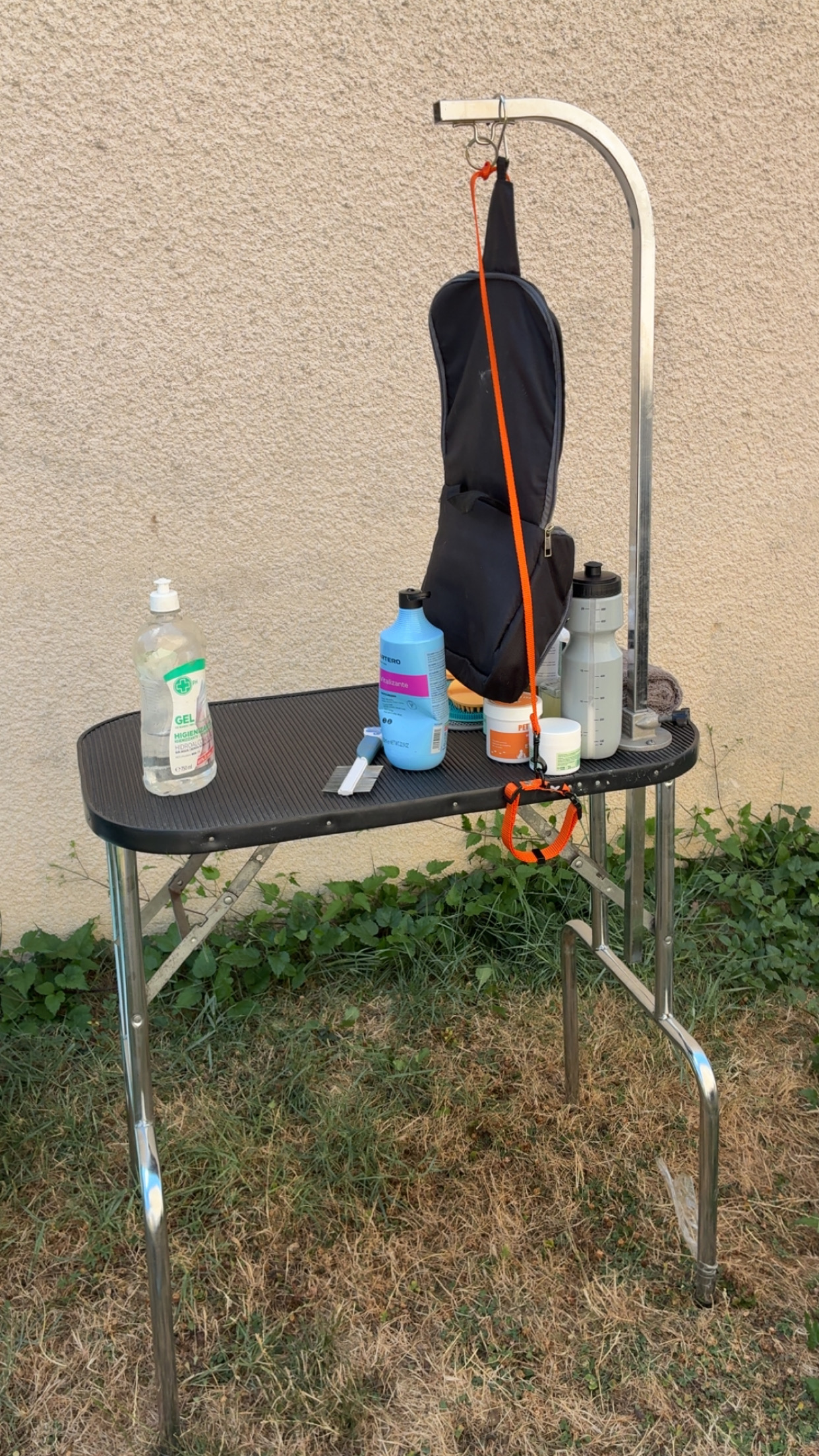 Service toilettage chien